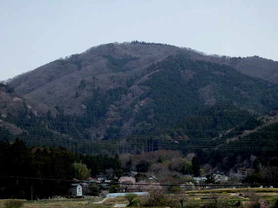 4月9日の往生山の様子