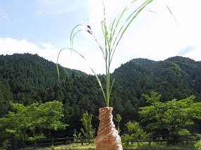 麦わらで作った花瓶とススキの葉のバッタとキャンプ場周りの山。