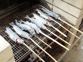 掴み取った魚は下処理をして、すぐ炭火で焼きます。