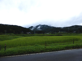 近くの水田と往生山