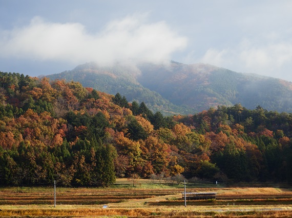2016年11月20日の往生山の様子。