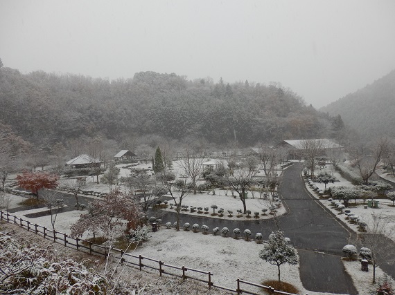 11月では珍しい、オートキャンプサイトの雪景色。