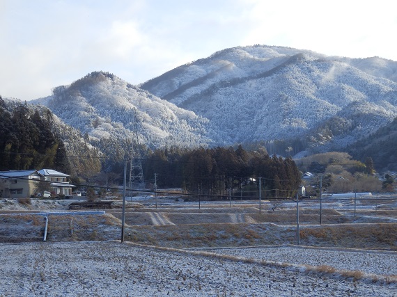 1月21日の往生山の様子です。その1