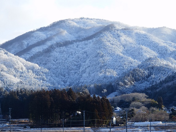 1月21日の往生山の様子です。その2