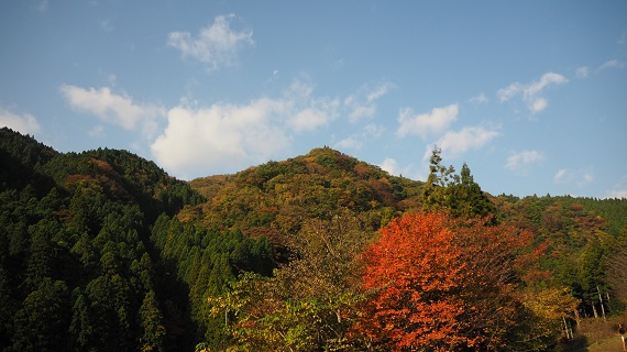 キャンプ場周辺の山の紅葉です。